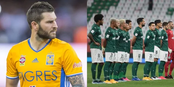 A Palmeiras de dolió más de la cuenta la eliminación del Mundial de Clubes a manos de Tigres y empiezan a salir las excusas, entre ellas, para André Gignac