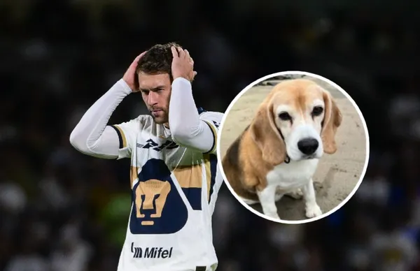 Aaron Ramsey y su perrito/ Foto Imago 7.