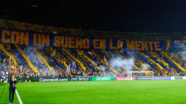Afición Tigres