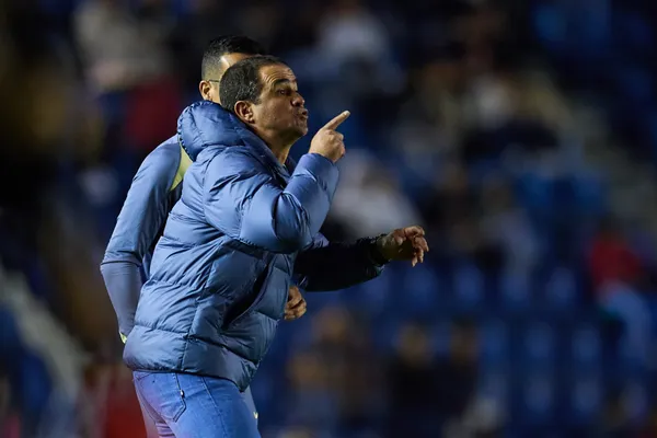 André Jardine (Foto: Mexsport)