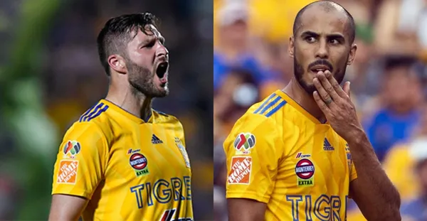 André Pierre Gignac sigue haciendo de las suyas en contra de sus propios compañeros en Tigres.