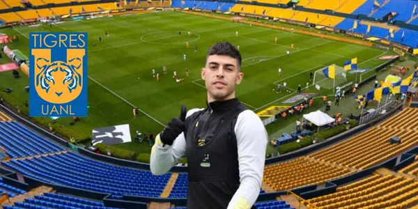 Brunetta en Nuevo León