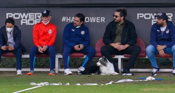 Chivas de Guadalajara tomó la decisión de despedir a Ricardo Peláez pero no solo eso. Es el fin de Amaury Vergara.