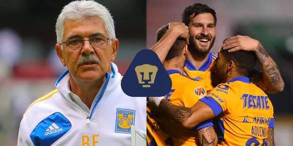 Conoce el crack de Tigres que llegaría a Pumas si Ferretti firma como nuevo DT del club