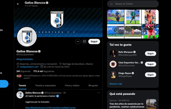 Conoce el nuevo tuit de Gallos Blancos.