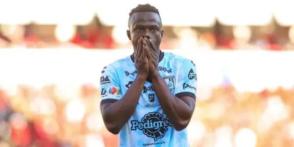 Conoce el problema de Gallos Blancos que complica su destino.