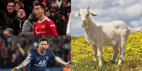 Controversia en Argentina porque un seleccionado se rindió ante la calidad del portugués