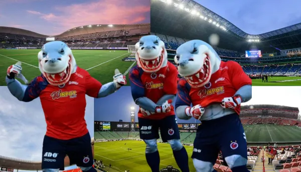 Dicen que el Tibu puede volver y así luce el estadio donde jugaría