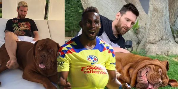 El delantero colombiano Julián Quiñones mostró a su mascota en redes y la diferencia con el perro de Lionel Messi