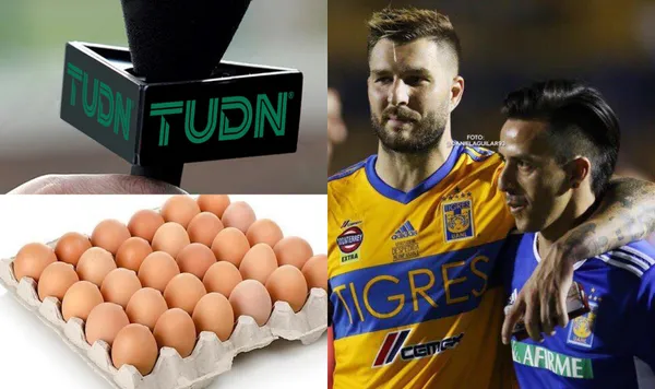 El ídolo felino fue exhibido en televisión por el comentarista