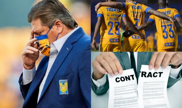 El jugador de los Tigres Carlos Salcedo tendría una oferta del futbol brasileño, a la cual Miguel Herrera le da el visto bueno