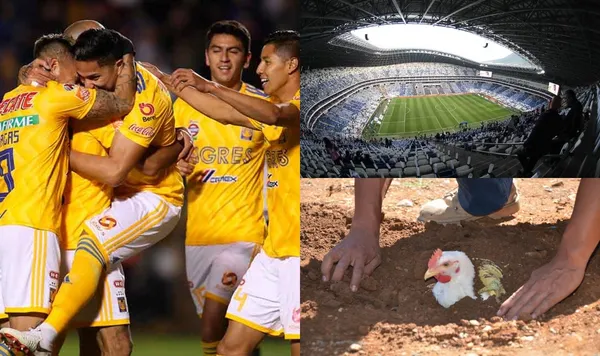 El jugador que vistió la camiseta de Tigres rompió el silencio y señaló que él fue el responsable de enterrar una gallina debajo del nuevo estadio de Rayados.