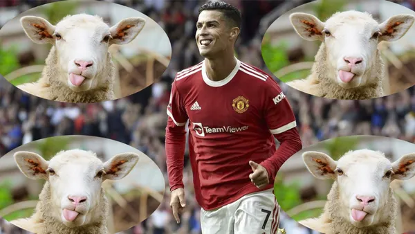 El jugador tuvo que cambiar de domicilio cuando apenas se acomodaba en Inglaterra, esto fue por el problema de los borregos de un vecino.