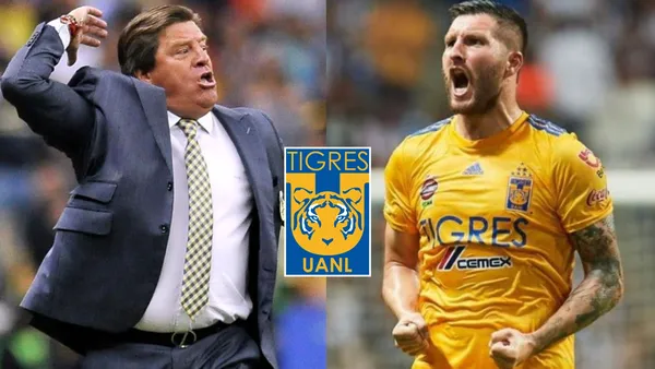 El nuevo becado de Miguel Herrera genera discordia a la interna de Tigres y ya tuvo un encontrón con Gignac