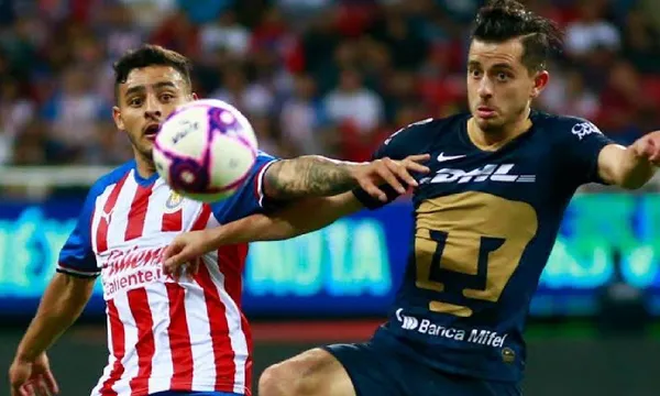 ¿El Rebaño o la Garra? ¿Qué podrá más?