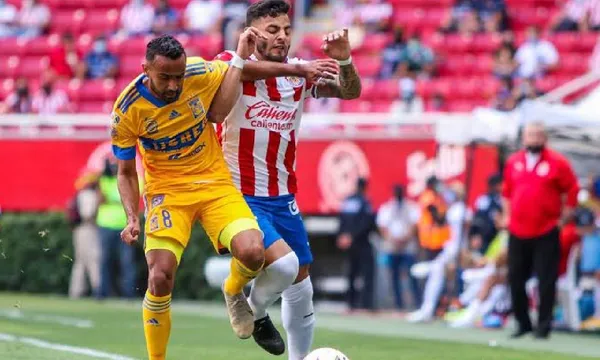 El Rebaño pudo con los Bravos, los Felinos con los Cañoneros, ahora se medirán.