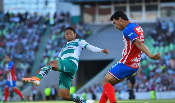 El rebaño quedó segundo en su grupo