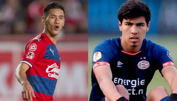 El rebaño tiene todo para que regrese