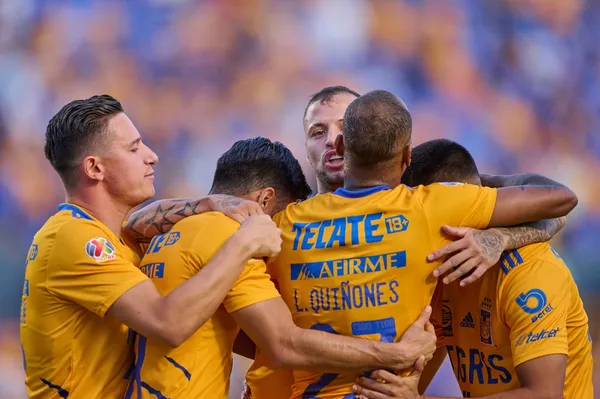 En información trascendida en los últimos minutos, se ha dado a conocer la sensible baja de este jugador del equipo de Tigres