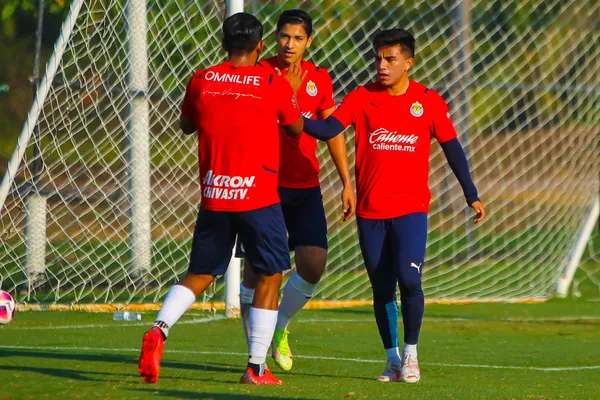 Fernando Beltrán podría salir de Chivas ante la posible llegada de Rodolfo Pizarro.