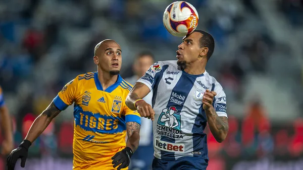 Fue captada presencia de un elemento felino en el Estadio Hidalgo.