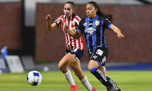 Gallos y el Rebaño se medirán una vez más.