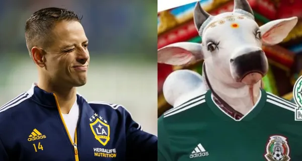 Gerardo Martino le abre la chance a Javier Hernández para regresar al Tri. Una vaca sagrada se enteró del tema y podría dejar el equipo.