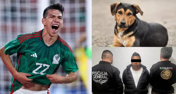 Hirving Lozano y lo que dijo sobre las mascotas, todo tras la tragedia que se captó en un video.