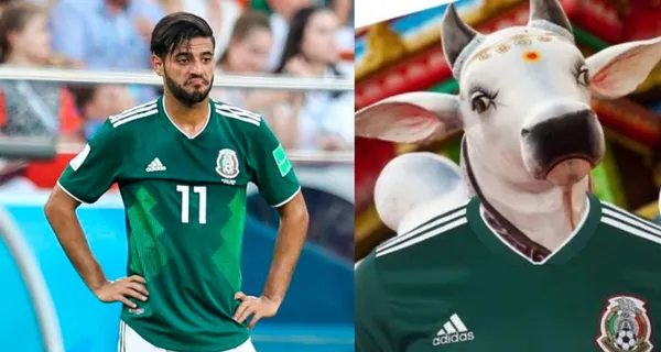 image-47129a98-b041-11ee-b785-56268b9071f4