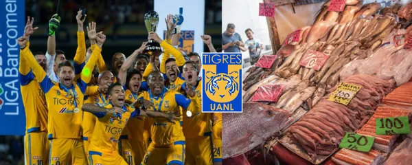 La carrera del futbolista fue a menos a partir de que no renovó con el conjunto universitario.