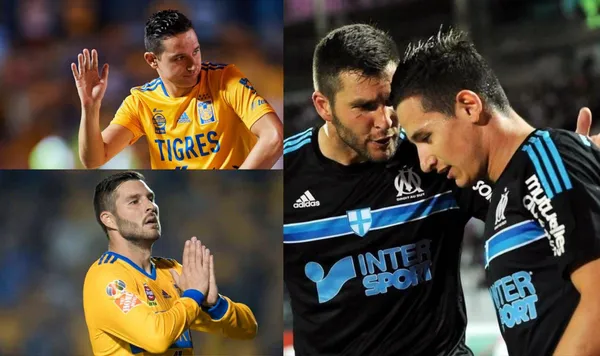 La dupla felina sigue produciendo y por ello llaman la atención desde Europa