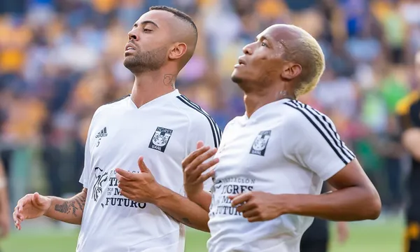 La novela llegó a su fin y el colombiano sabe su futuro con los felinos