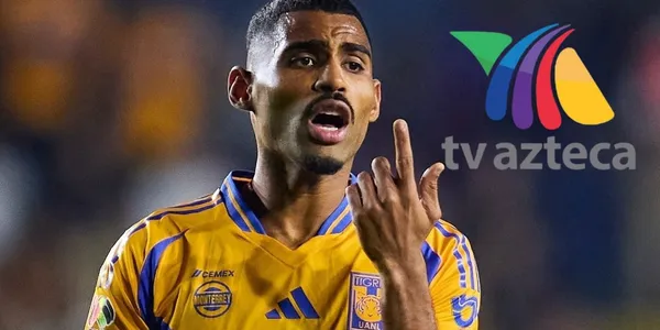 La televisora tiene un nuevo equipo favorito e hizo a un lado a los felinos