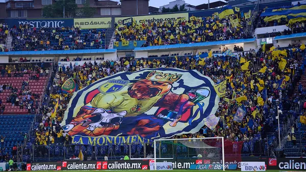 La violencia se presentó en la tribuna del Club América vs Pumas / Foto: Mex Sport