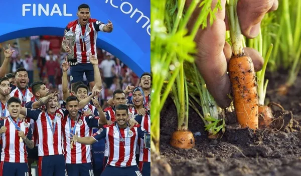 Le gusta sembrar y por eso tomó la decisión de hacer su huerto