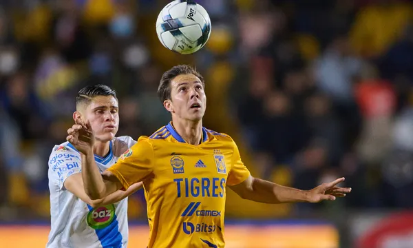 Los aficionados felinos ya comenzaron la crítica a su refuerzo recien llegado