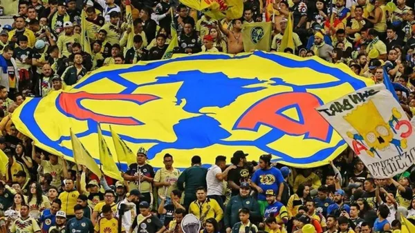 Los aficionados hicieron destrozos.