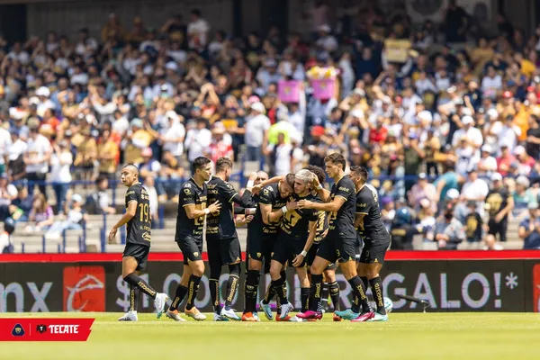 Los felinos disputarán el torneo por segunda ocasión en su historia.