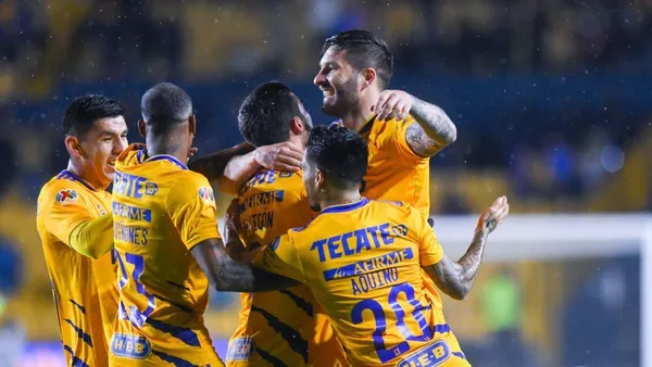 Los felinos están por entrar en acción.