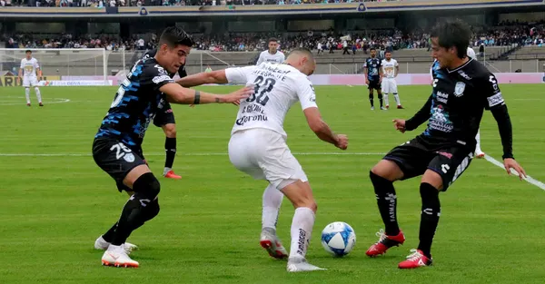 Los felinos necesitan el triunfo.