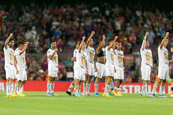 Los felinos no estuvieron a la altura.