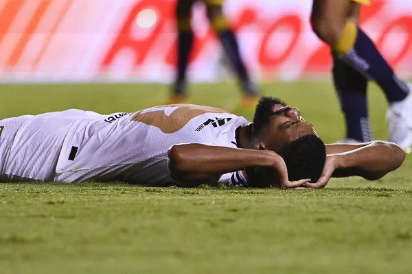 Los felinos no levantan.