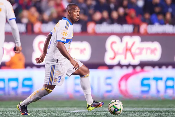 Los felinos parten como los amplios favoritos.