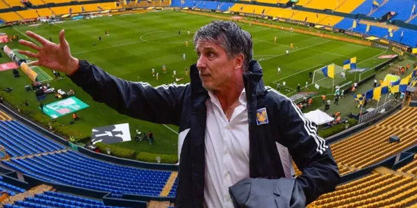 Los felinos quieren la novena a como de lugar y harán todo para lograrlo.