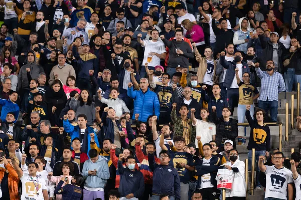 Los felinos requieren el triunfo.