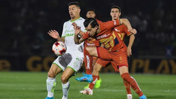 Los felinos se presentan ante su público.