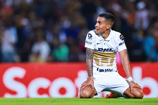 Los felinos siguen armando su plantel.