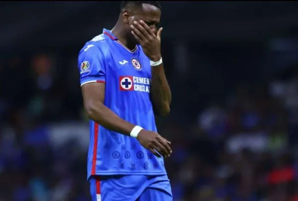 Los felinos siguen armándose de la mejor manera posible.