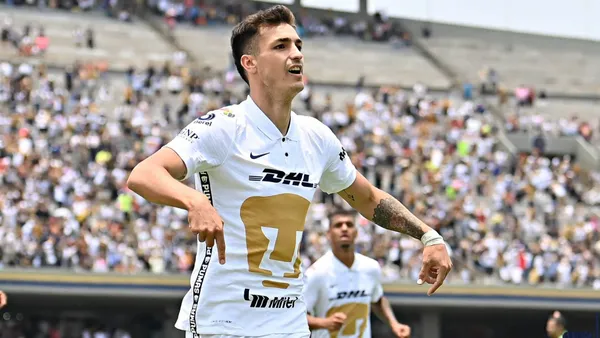 Los felinos siguen reforzándose.