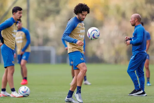 Los felinos tendrán un nuevo técnico, pero seguirán con el mismo proyecto.